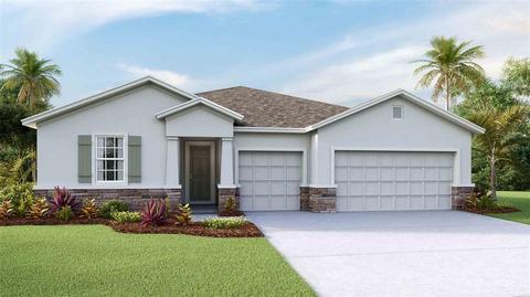 12489 Shining Willow St, Riverview, FL 33579 photo 1