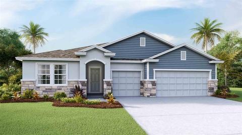 12471 Shining Willow St, Riverview, FL 33579 photo 1