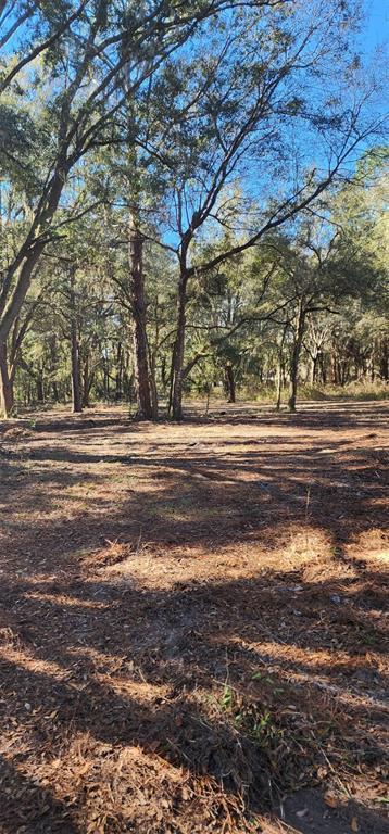 7050 NE 192nd Pl, Citra, FL 32113