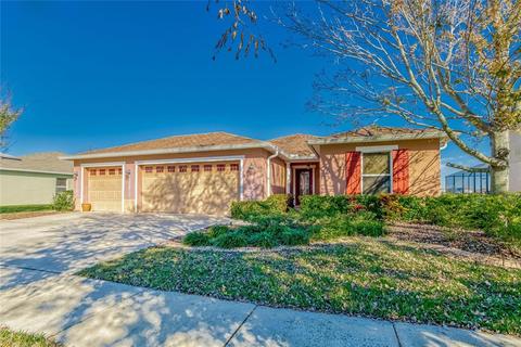 5325 Sandy Shell Dr, Apollo Beach, FL 33572 photo 1