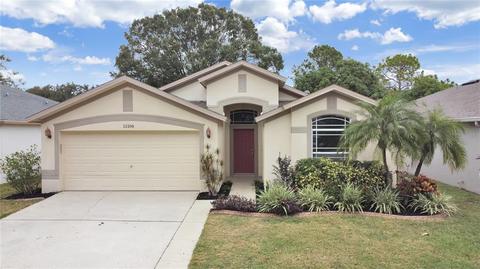11106 Silver Dancer Dr, Riverview, FL 33579 photo 1