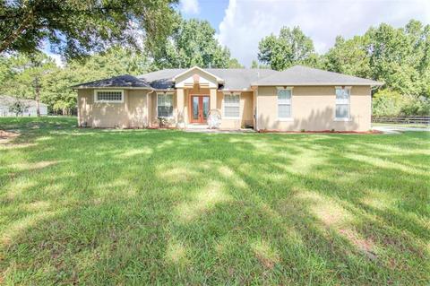24554 Oaks Blvd, Land O Lakes, FL 34639