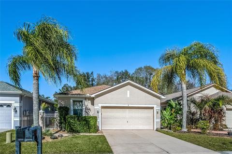 21009 Tangor Rd, Land O Lakes, FL 34637