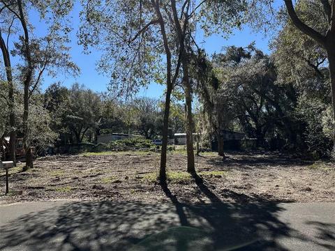 11225 Russell Dr, Seffner, FL 33584 photo 1