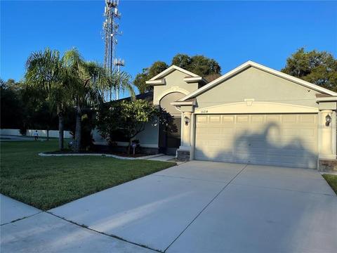 10214 Summer Azure Dr, Riverview, FL 33578