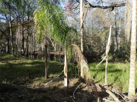 2215 Old Cypress Creek Rd, Land O Lakes, FL 34639