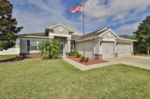 11804 Newberry Grove Loop, Riverview, FL 33579 photo 1