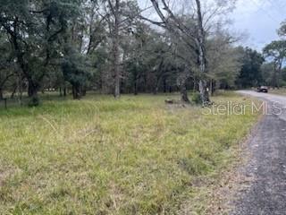 0000 Palamino Lake Dr, Dade City, FL 33523