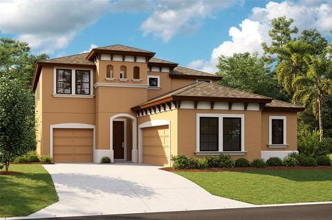 14863 Paddock Pond Ave, Lithia, FL 33547 photo 1