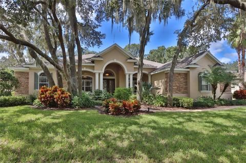 16418 Dunlindale Dr, Lithia, FL 33547