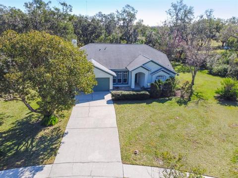 9616 Glenpointe Dr, Riverview, FL 33569 photo 1