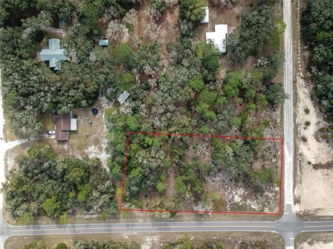 7392 Wagers Dr, Webster, FL 33597