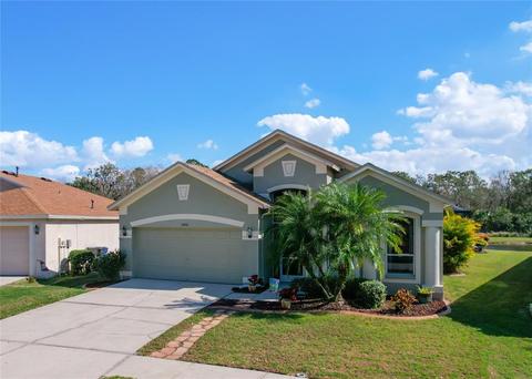 13753 Ogakor Dr, Riverview, FL 33579 photo 1