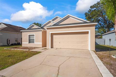 13217 Beechberry Dr, Riverview, FL 33579 photo 1