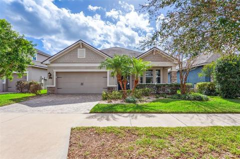 12361 Streambed Dr, Riverview, FL 33579 photo 1