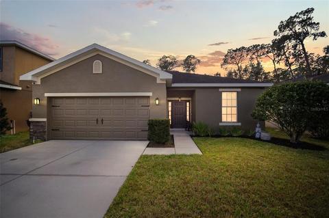 8307 Tidal Breeze Dr, Riverview, FL 33569 photo 1