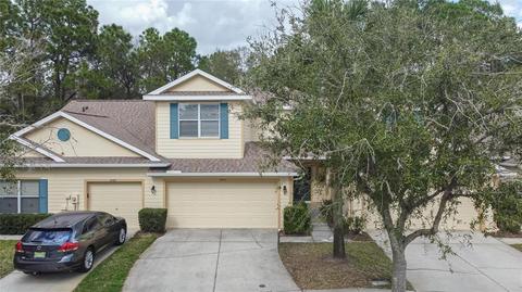 20415 Harvest Oak Ct, Tampa, FL 33647