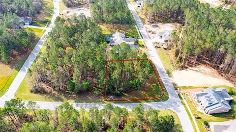 English Walnut Place, Brooksville, FL 34601
