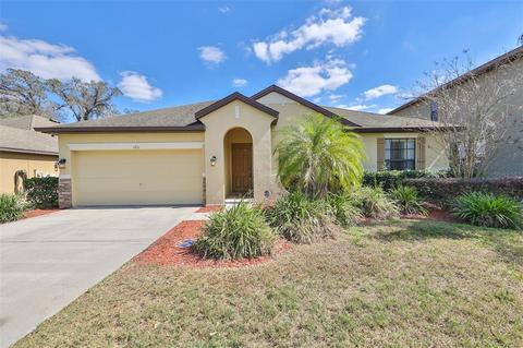 1711 Abbey Trace Dr, Dover, FL 33527 photo 1