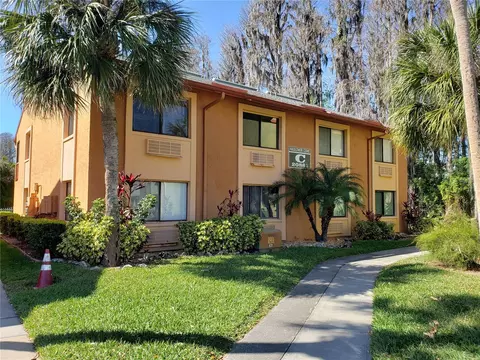 20861 Haulover Cv #6, Lutz, FL 33558