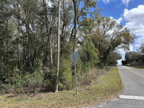SE 84th Terrace, Summerfield, FL 34491