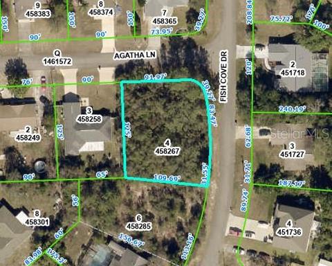Agatha Lane, Spring Hill, FL 34609