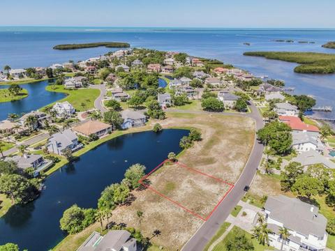 N Pointe Alexis Drive, Tarpon Springs, FL 34689