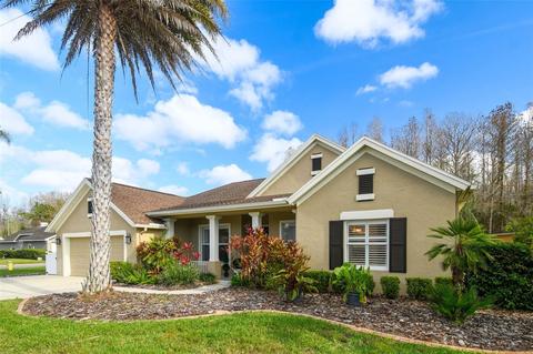 1025 Maravista Dr, Trinity, FL 34655 photo 1