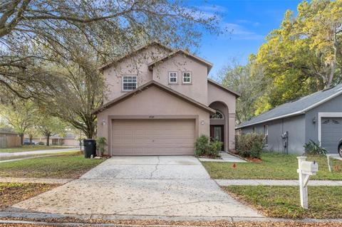 11729 Mango Grvs, Seffner, FL 33584 photo 1