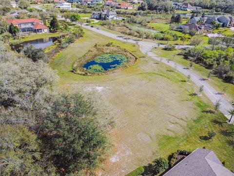 2516 Tylers River Run, Lutz, FL 33559