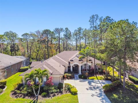 10563 Greensprings Dr, Tampa, FL 33626