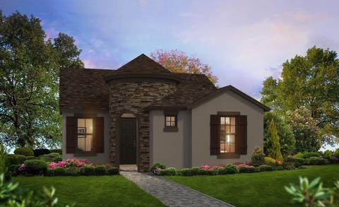 28901 Seedling St, Wesley Chapel, FL 33543