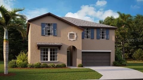 13435 Jamaica Plank Loop, Riverview, FL 33579