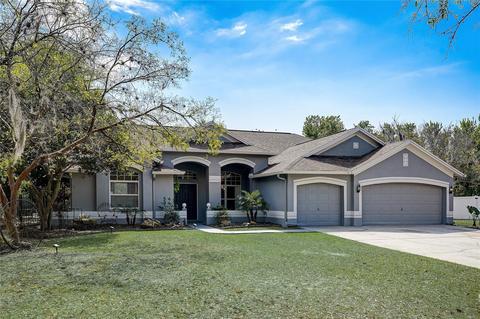 11803 Tall Elm Ct, Riverview, FL 33569 photo 1