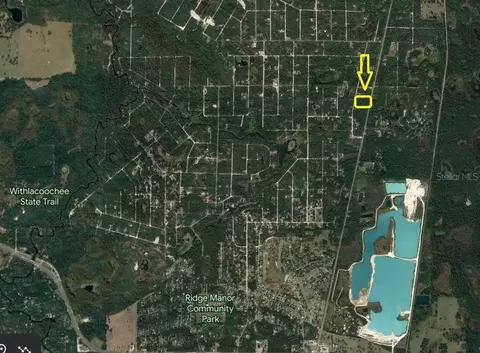 7445 Treiman Blvd, Webster, FL 33597