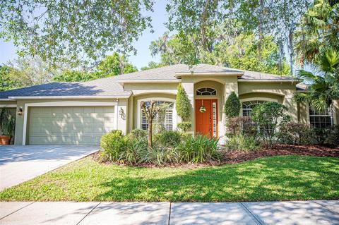916 Hickory Fork Dr, Seffner, FL 33584 photo 1