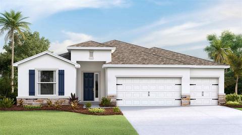 23314 Scaglione Dr, Lutz, FL 33549