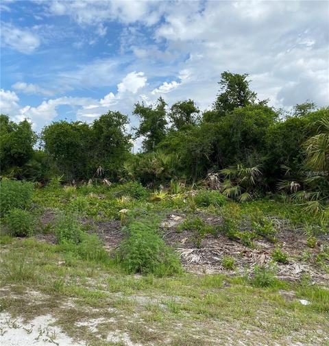 4195 E 30th St, Alva, FL 33920