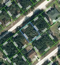 2071 W Bonita Rd, Avon Park, FL 33825