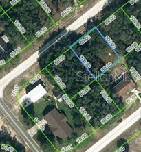 2177 W Bonita Rd, Avon Park, FL 33825