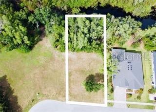 4012 Cove Lake Pl, Land O Lakes, FL 34639