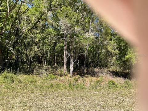 9148 Plymouth Rock Dr, Webster, FL 33597