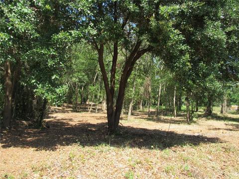 0 Sweet Fern Dr, Riverview, FL 33569