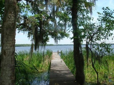 29551 NE 149th Street Rd, Salt Springs, FL 32134