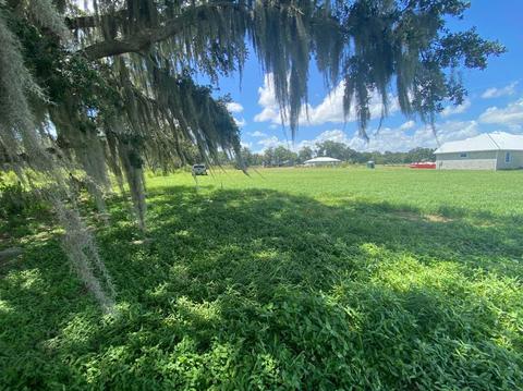 Miley Road, Plant City, FL 33565