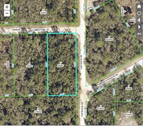Top Rock Drive, Webster, FL 33597