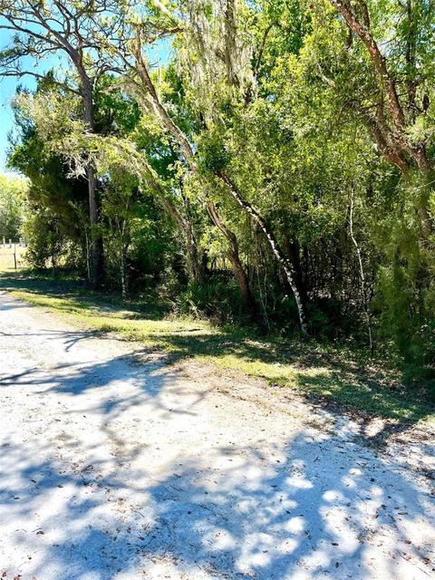 6271 Norman St, Webster, FL 33597