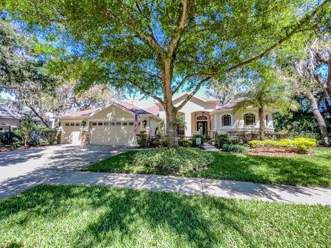 15604 Ibiscrest Ct, Lithia, FL 33547 photo 1