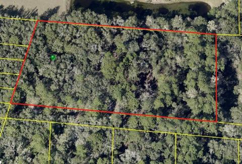 Pinon Drive, Webster, FL 33597