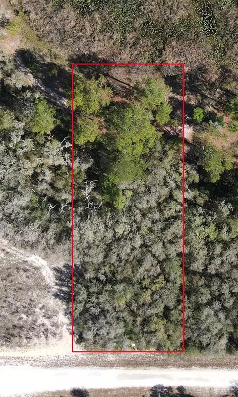Grindstone Drive, Webster, FL 33597
